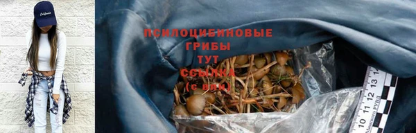 дживик Верхний Тагил