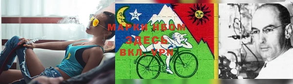 дживик Верхний Тагил