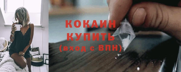 дживик Верхний Тагил