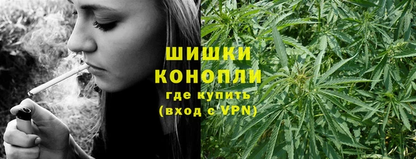 дживик Верхний Тагил
