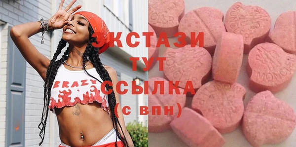 дживик Верхний Тагил