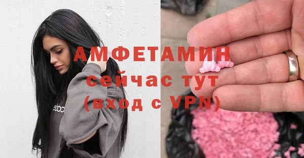 дживик Верхний Тагил
